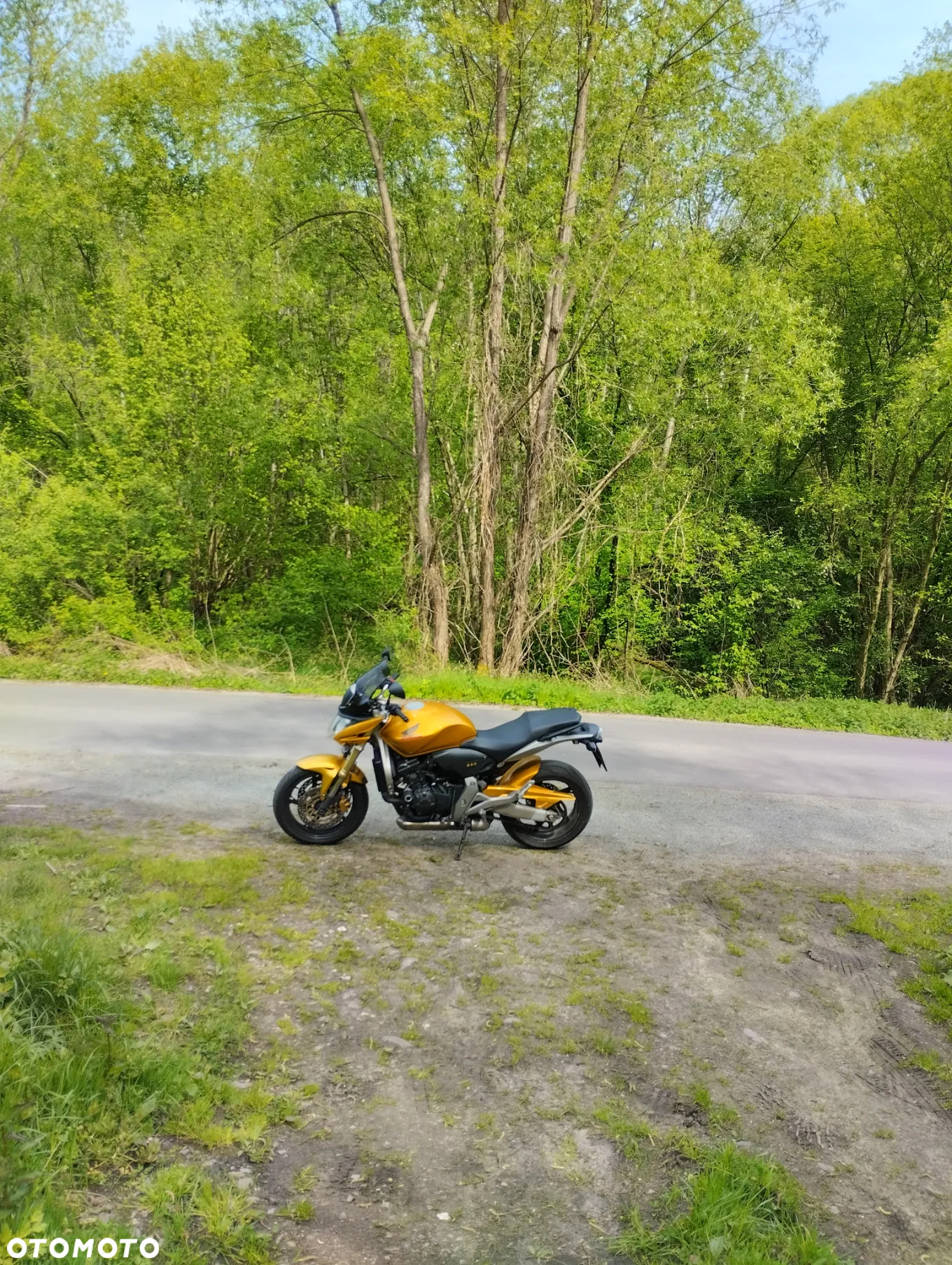 Honda Hornet - 7