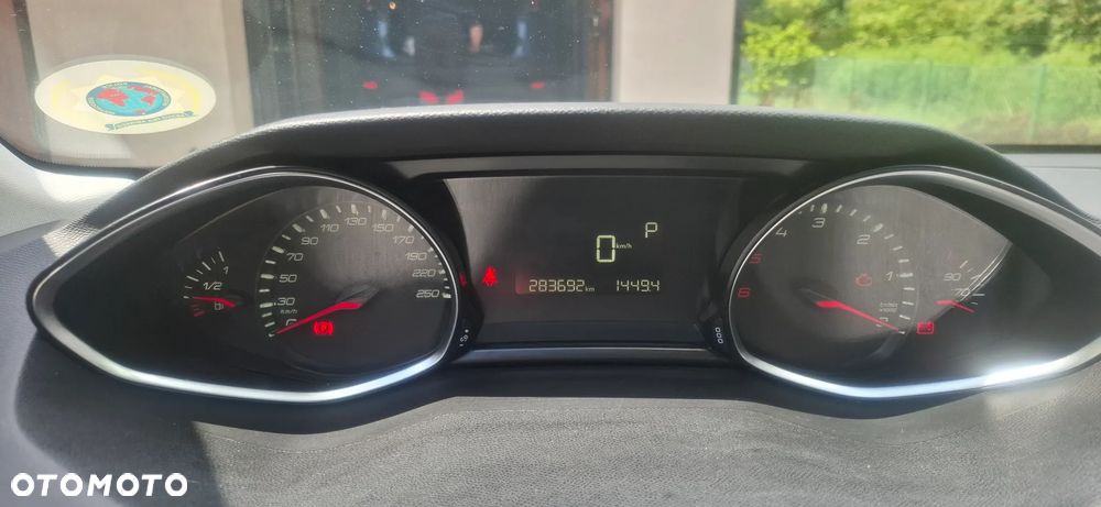 Peugeot 308 1.6 BlueHDi Active S&S - 14