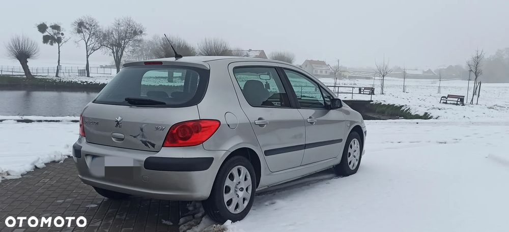 Peugeot 307 - 4