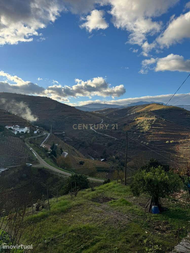 Terreno com Árvores de Fruto em Santa Marta de Penaguião - Grande imagem: 2/22