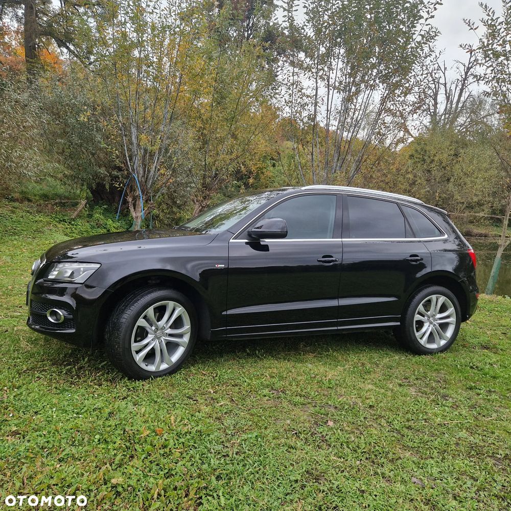 Audi Q5 2011 photo 5
