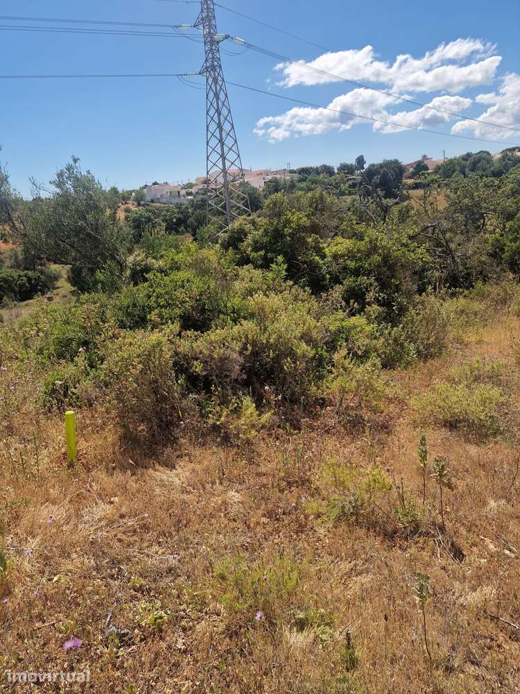 Terreno rústico de 5400m² em Ferreiras - Grande imagem: 3/3