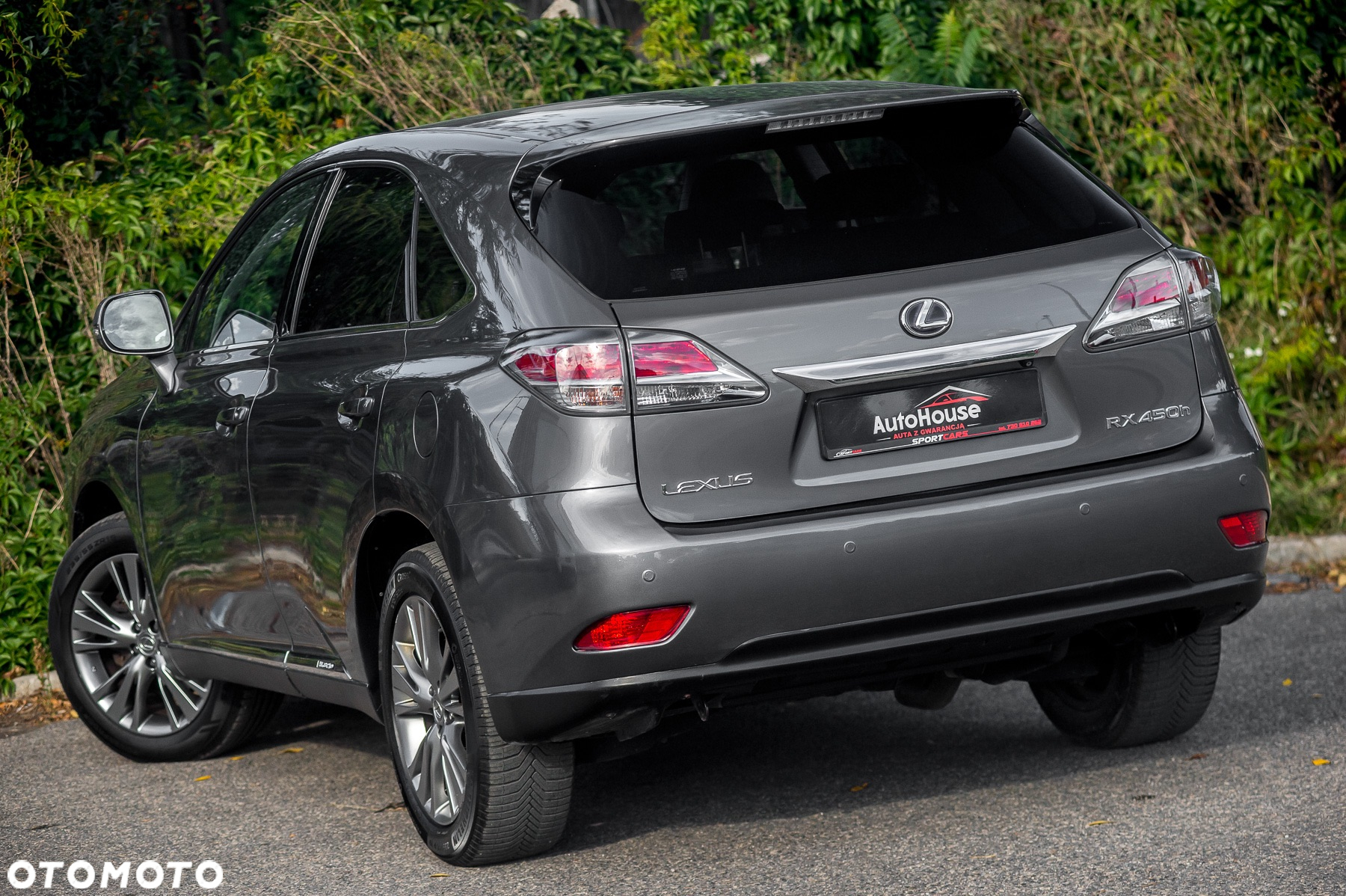 Lexus RX 450h (hybrid) Executive Line - 9
