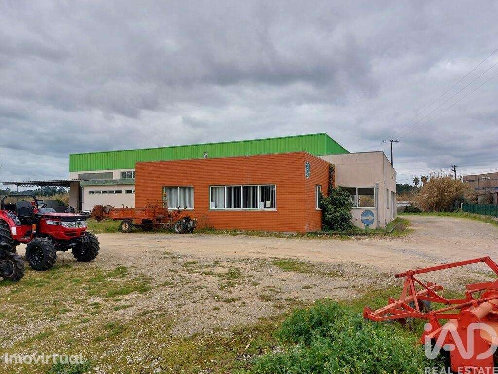 Loja / Estabelecimento Comercial T3 em Cantanhede e Pocariça de 828,00 - Grande imagem: 5/18