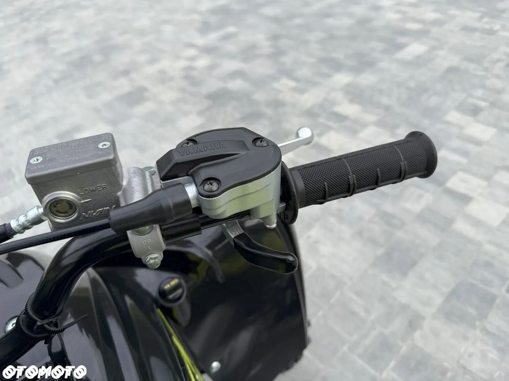 Yamaha Raptor - 31