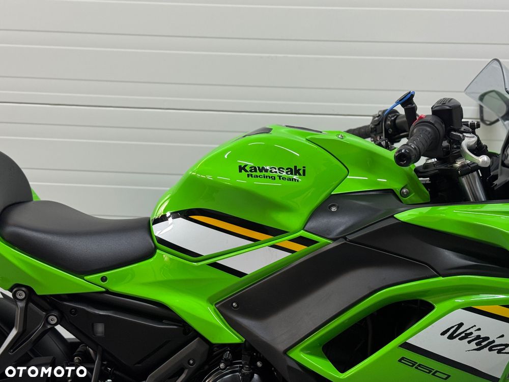 Kawasaki Ninja - 10