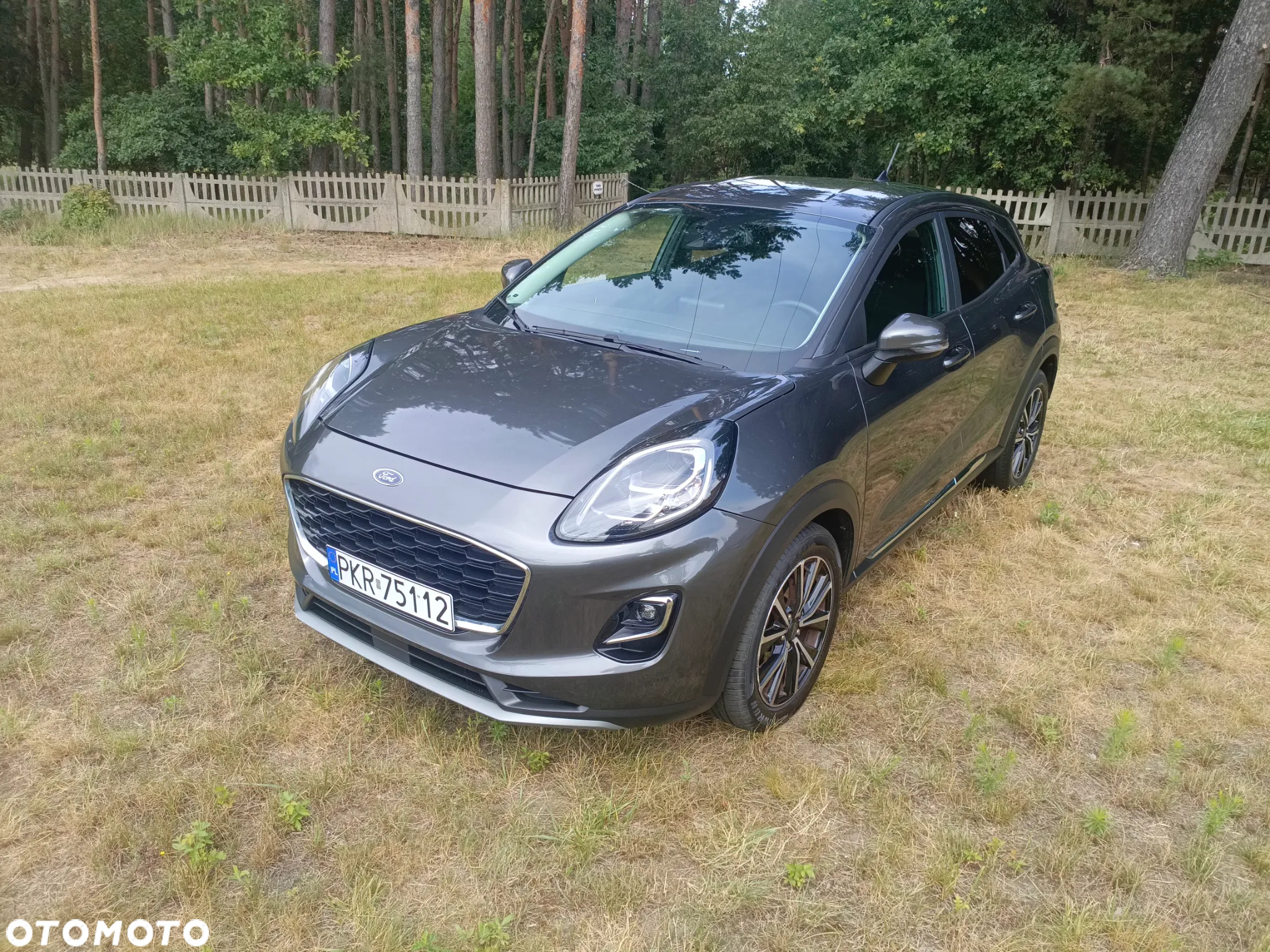 Ford Puma 1.0 EcoBoost Hybrid COOL & CONNECT - 5