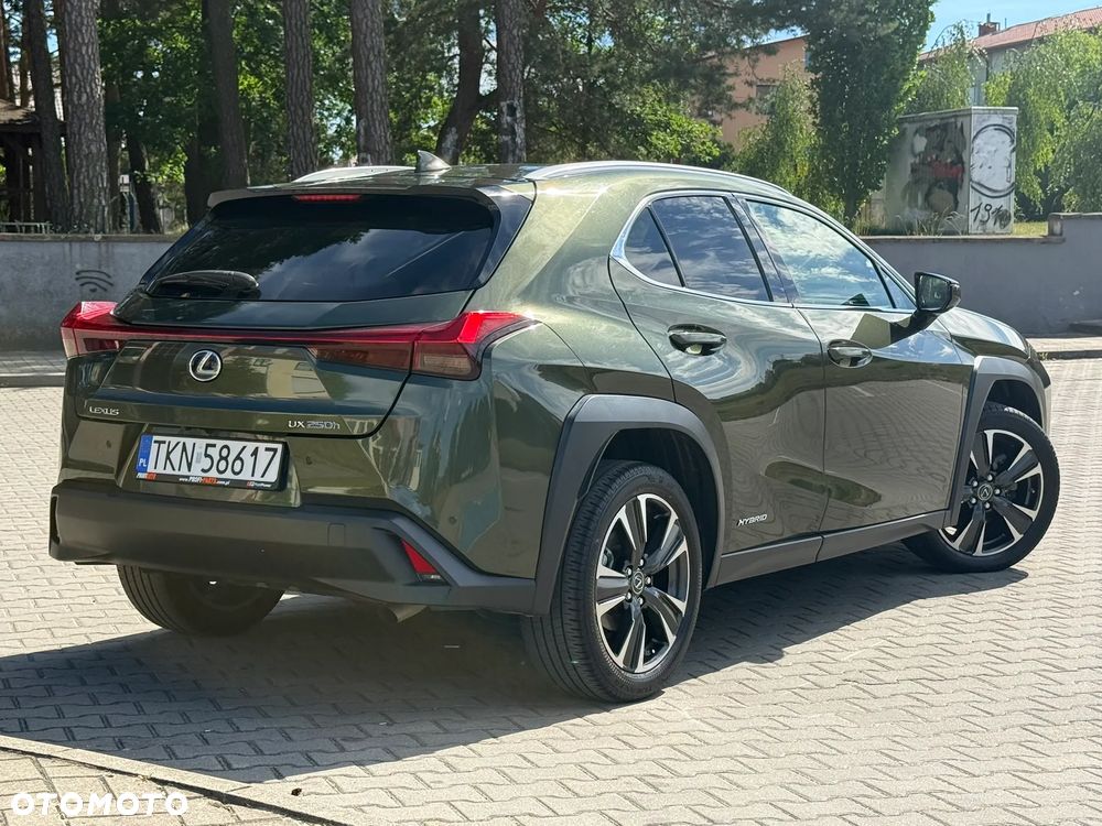 Lexus UX 250h F Sport 2WD - 17