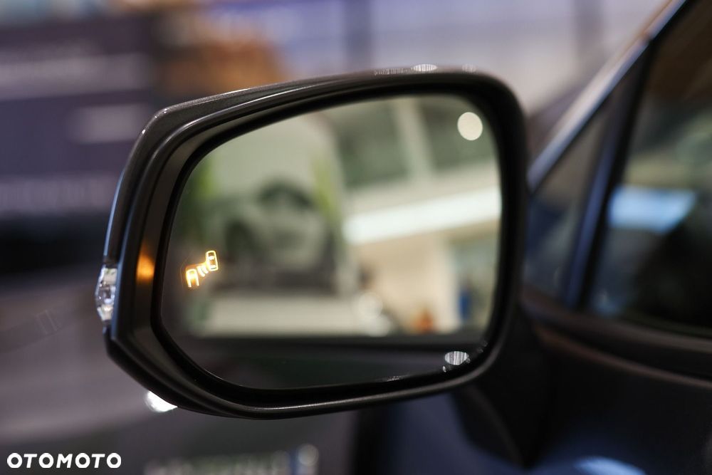 Toyota RAV4 2.5 Hybrid Executive 4x4 - 18