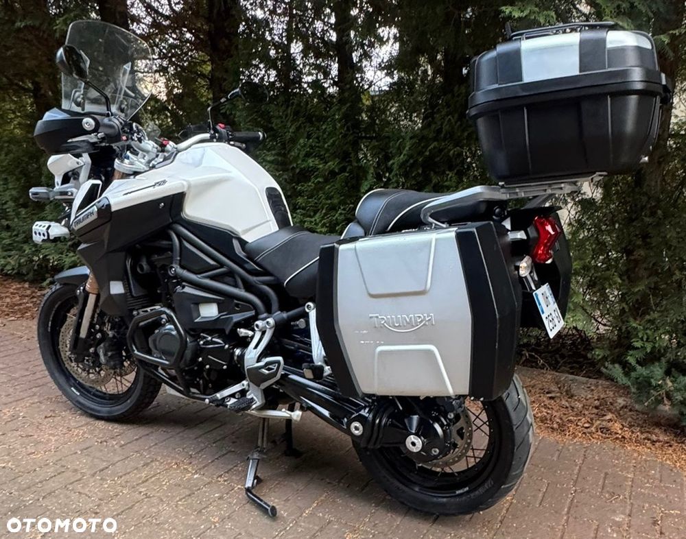 Triumph Tiger - 11