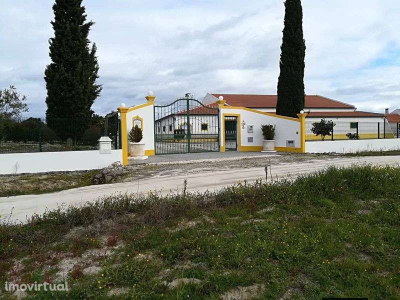 Quinta de Excelência na Freguesia de Branca Coruche - Grande imagem: 3/10