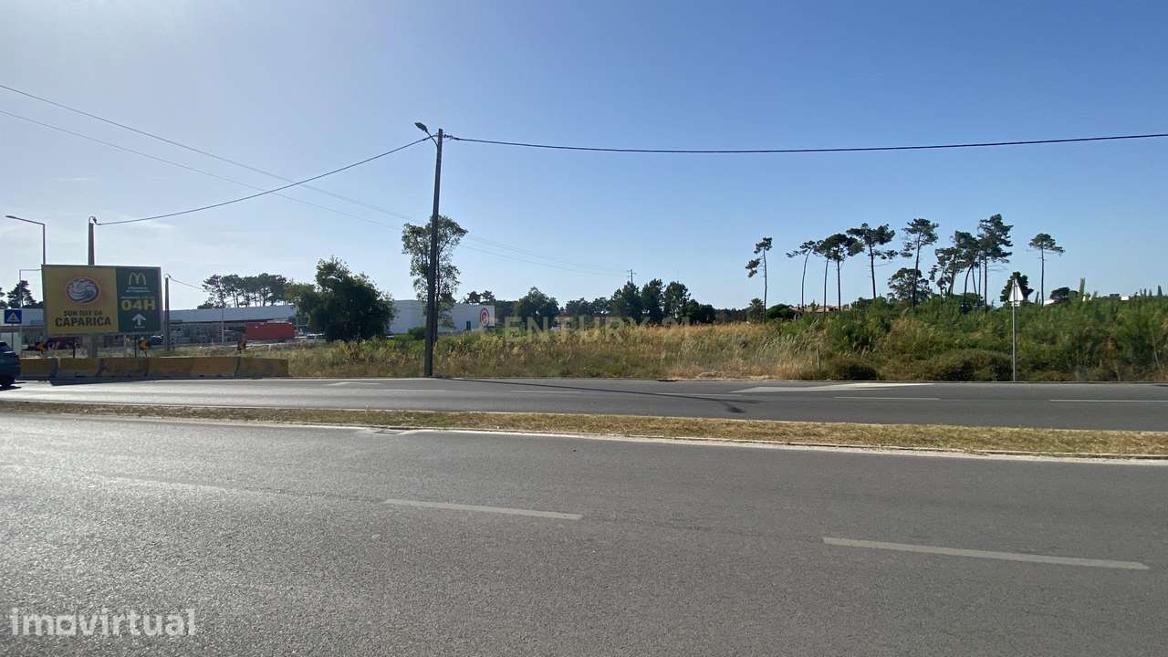 Oportunidade: Terreno 5000 m2 avenida do mar - Verdizela - Grande imagem: 4/6
