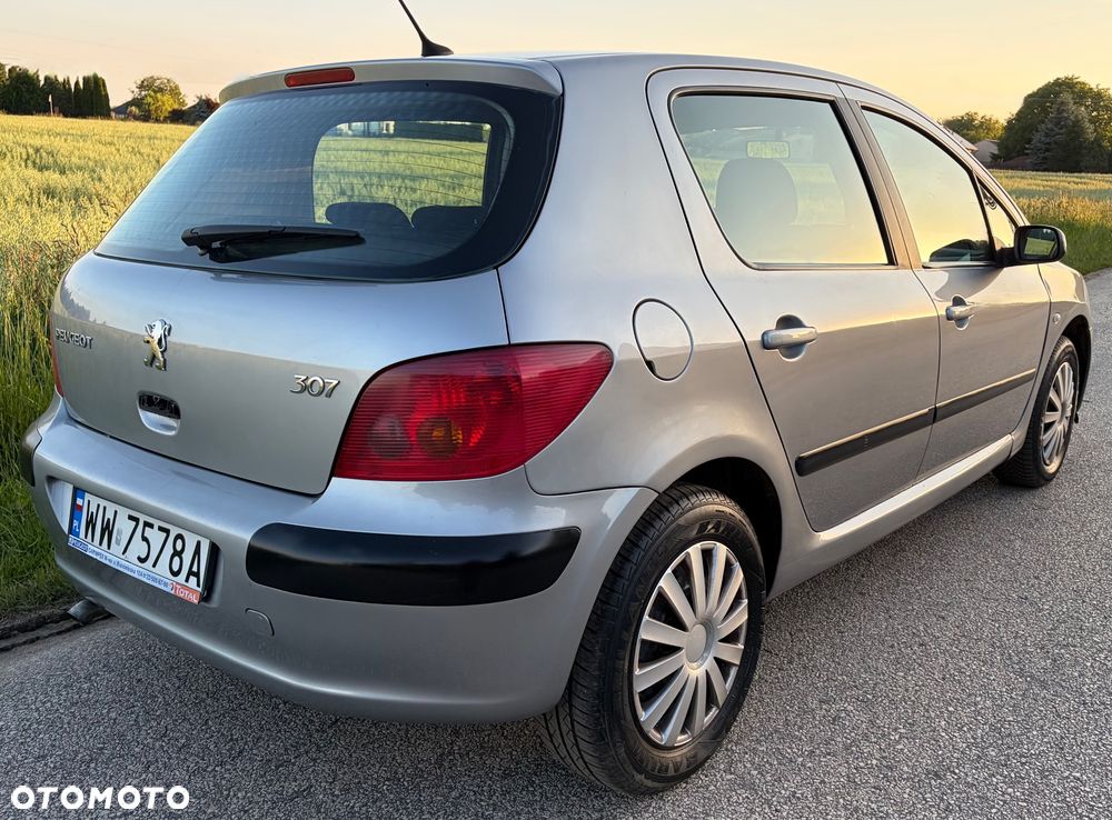 Peugeot 307 1.6 Premium - 31