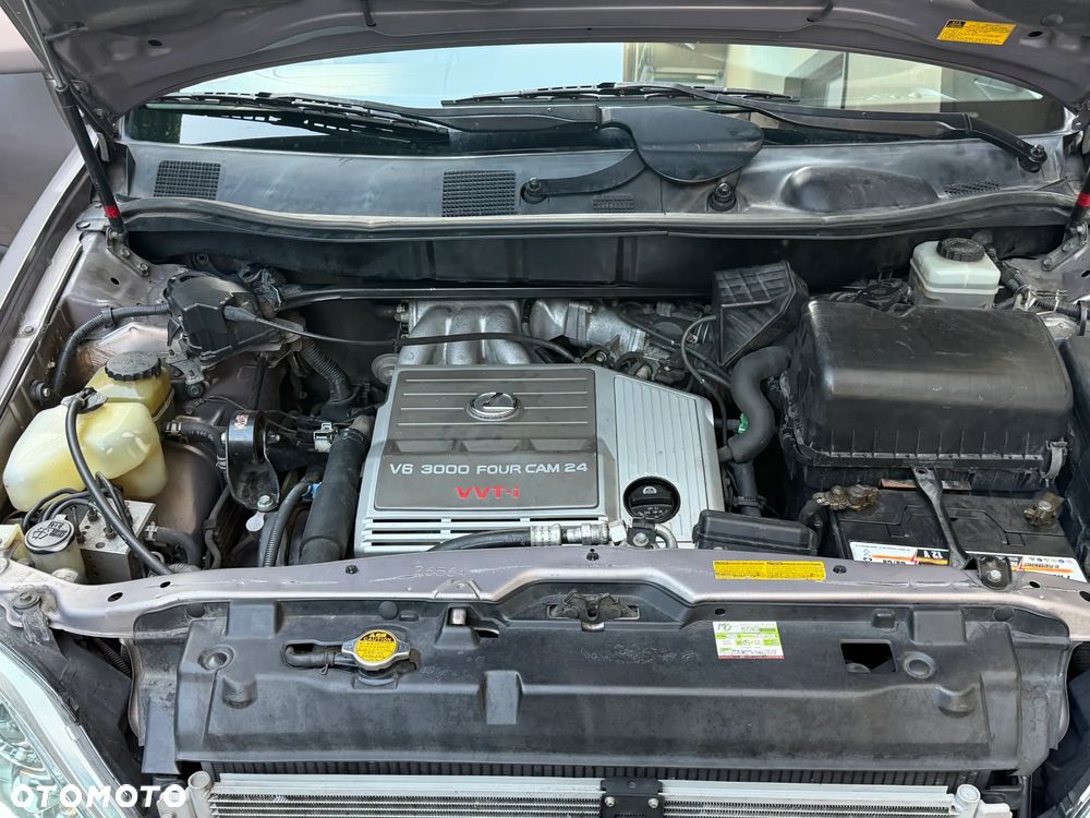 Lexus RX Standard - 14