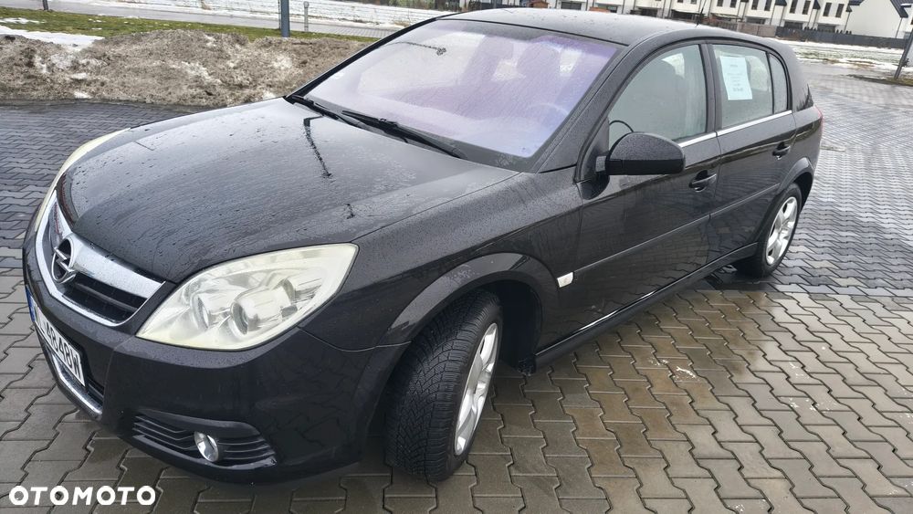 Opel Signum - 19