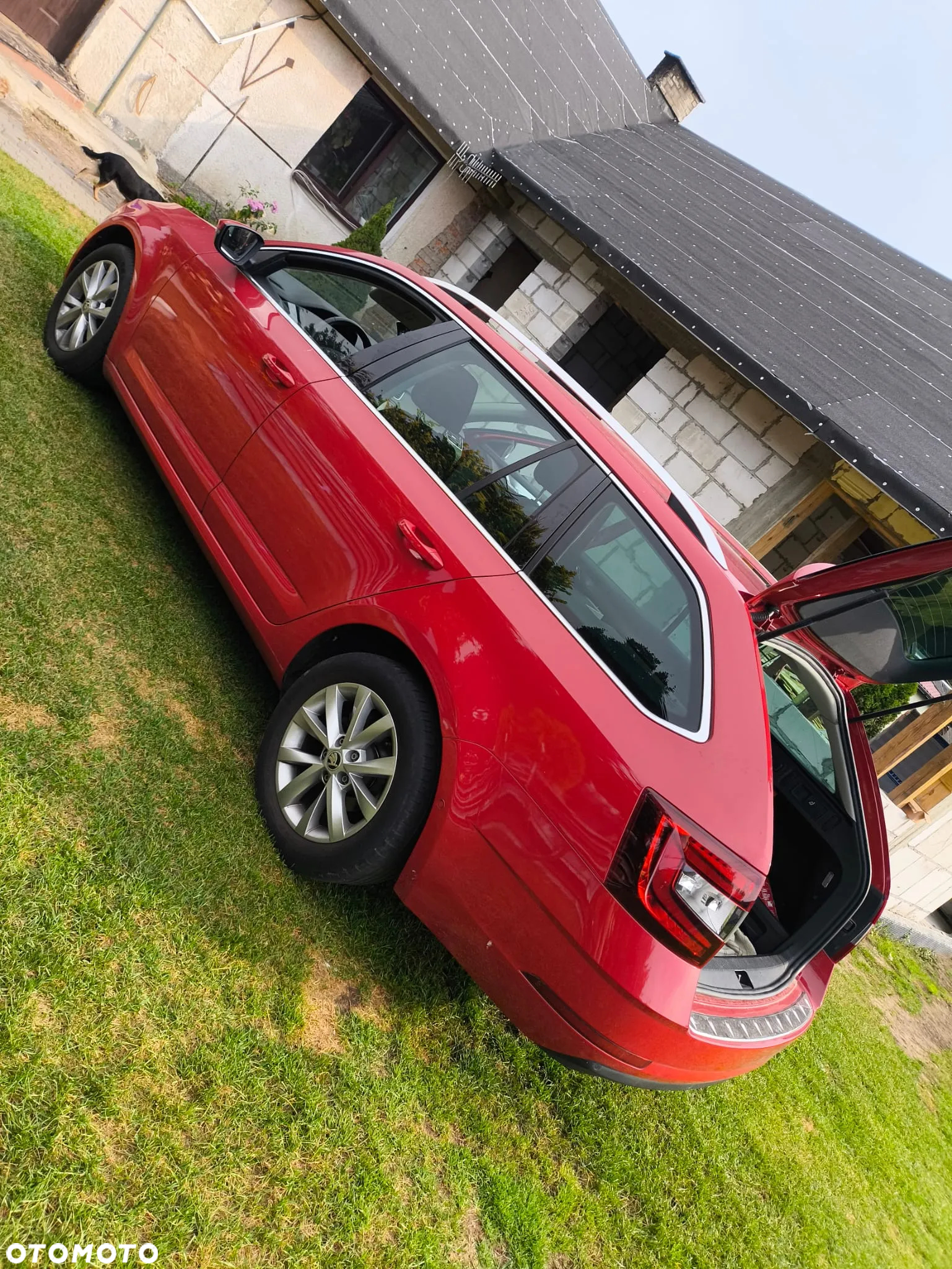 Skoda Octavia 1.0 TSI Ambition - 6
