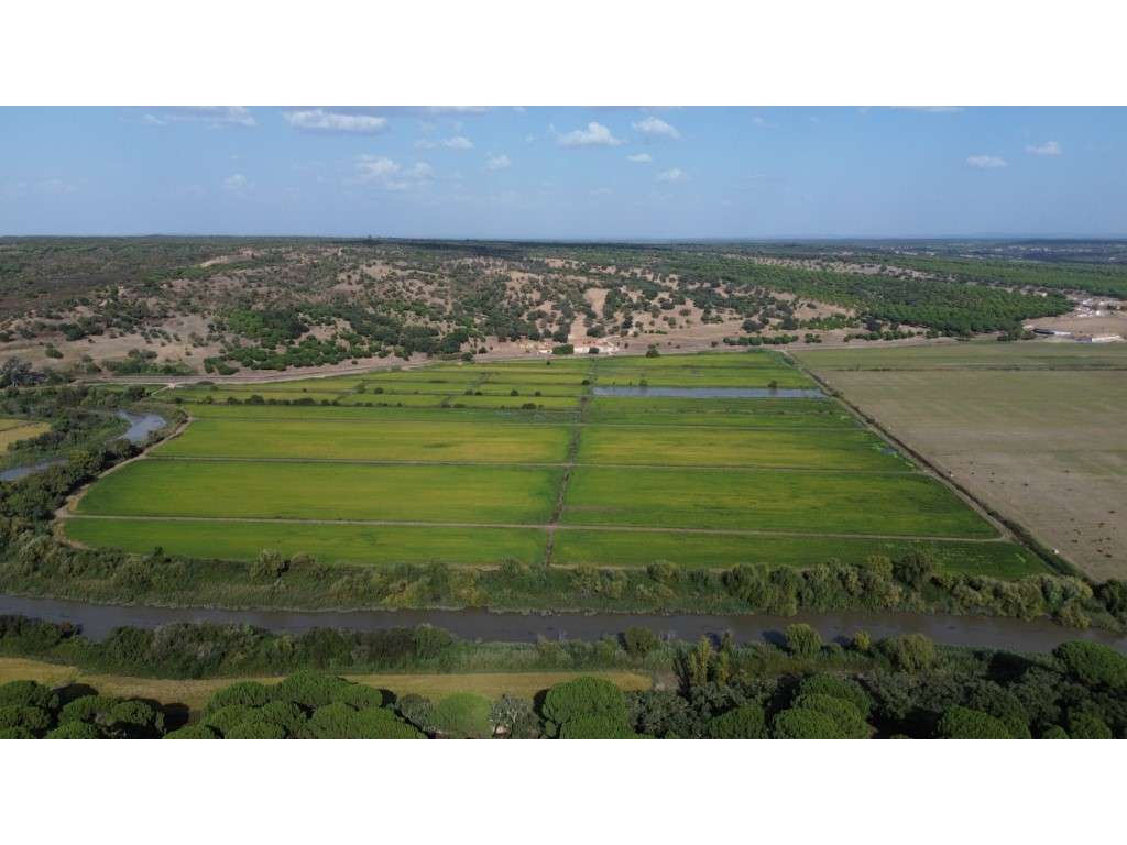 Herdade com 145 ha em Alcácer do Sal - Grande imagem: 3/19
