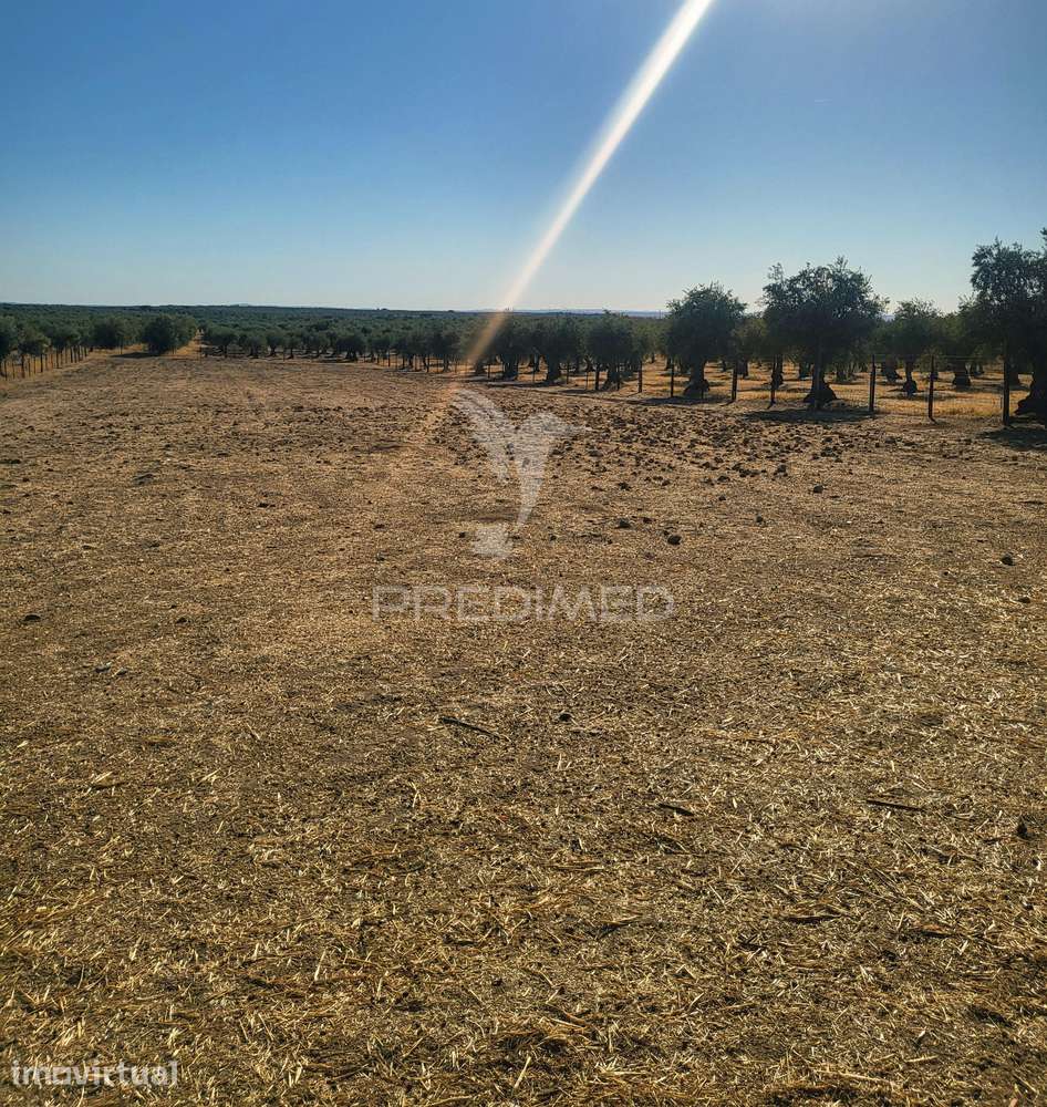TERRENO RUSTICO - Grande imagem: 2/12