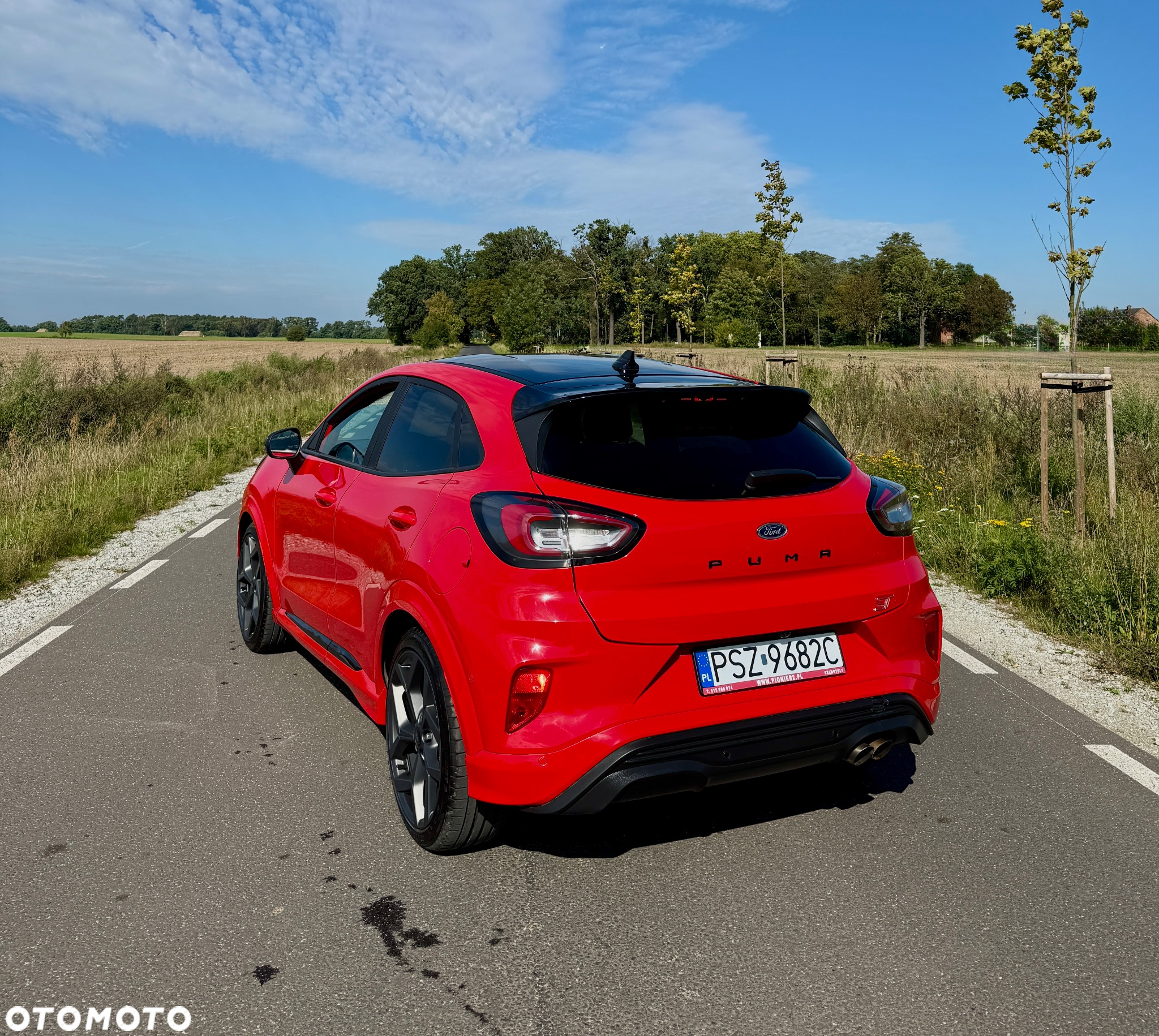 Ford Puma 1.5 EcoBoost ST - 7
