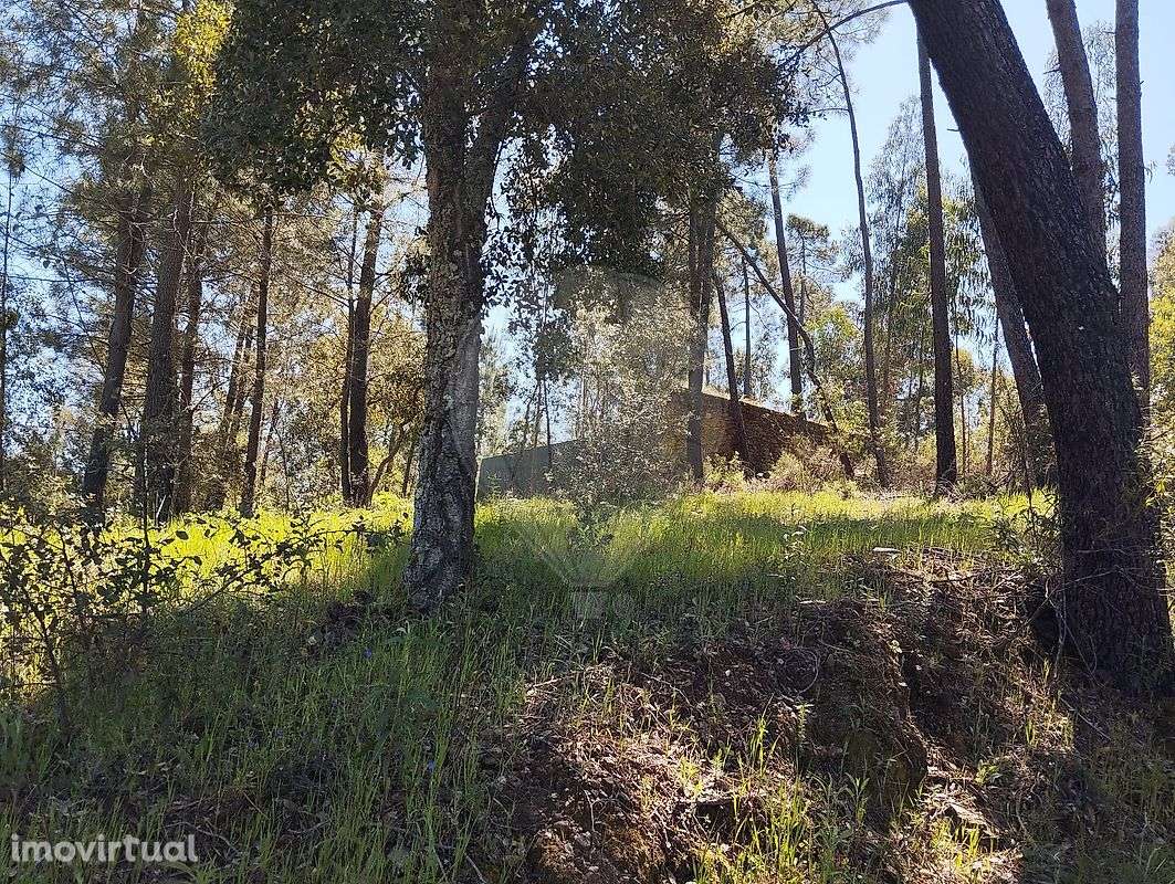 Terreno  para venda - Grande imagem: 2/8