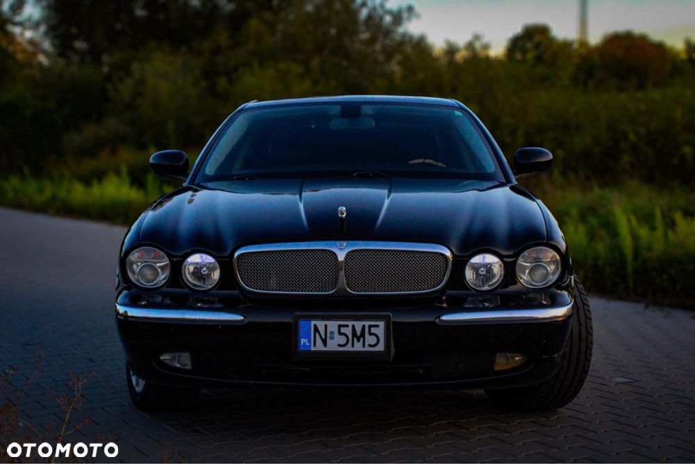 Jaguar Inny - 3