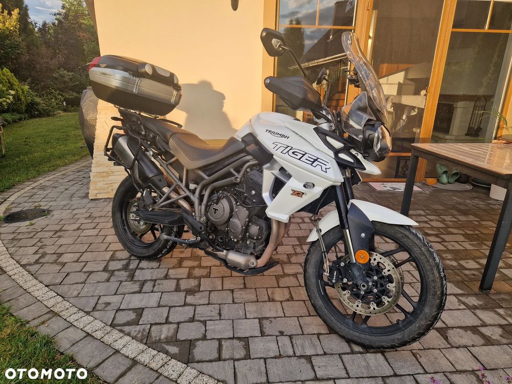 Triumph Tiger - 4
