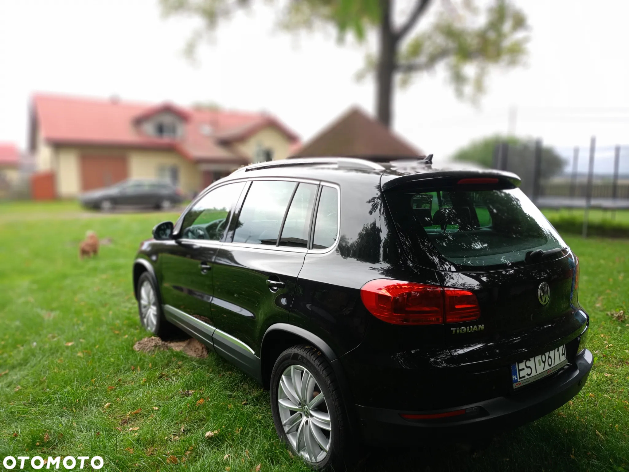 Volkswagen Tiguan 2.0 TSI 4Mot Sport&Style DSG - 17