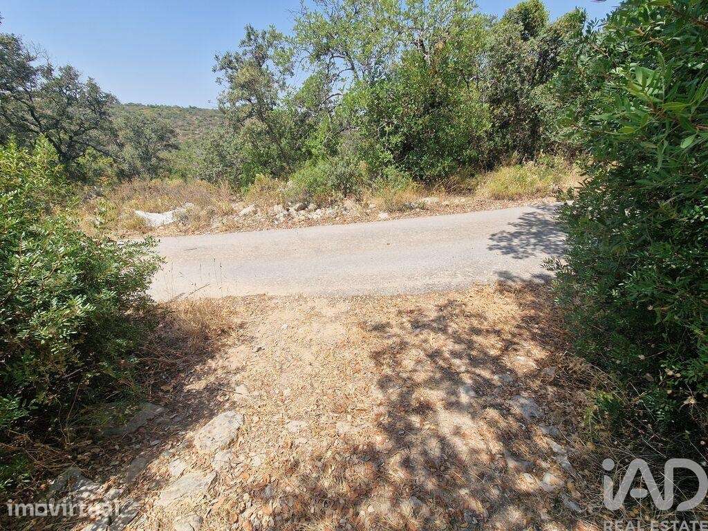 Terreno Agrícola em Santa Bárbara de Nexe - Grande imagem: 4/23