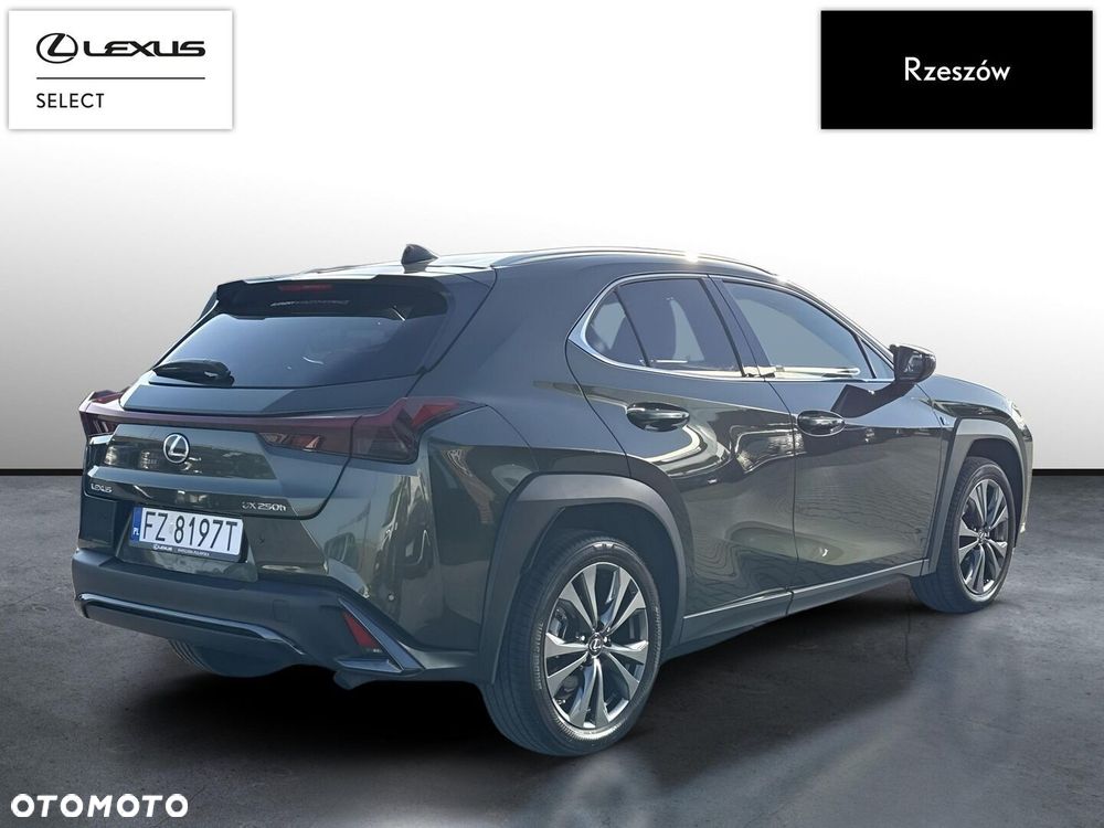 Lexus UX 250h GPF F Sport Design 2WD - 5