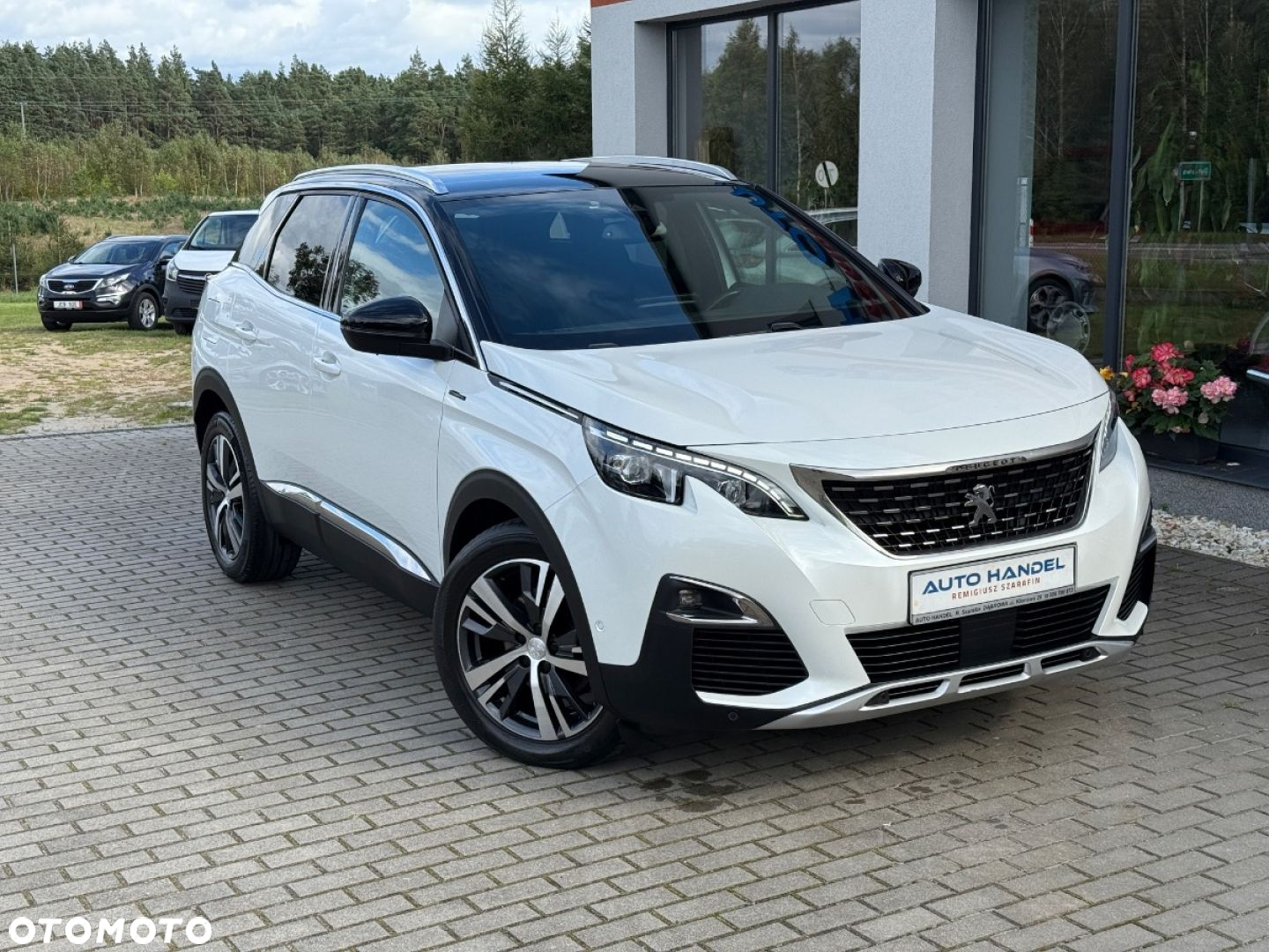 Peugeot 3008 - 4