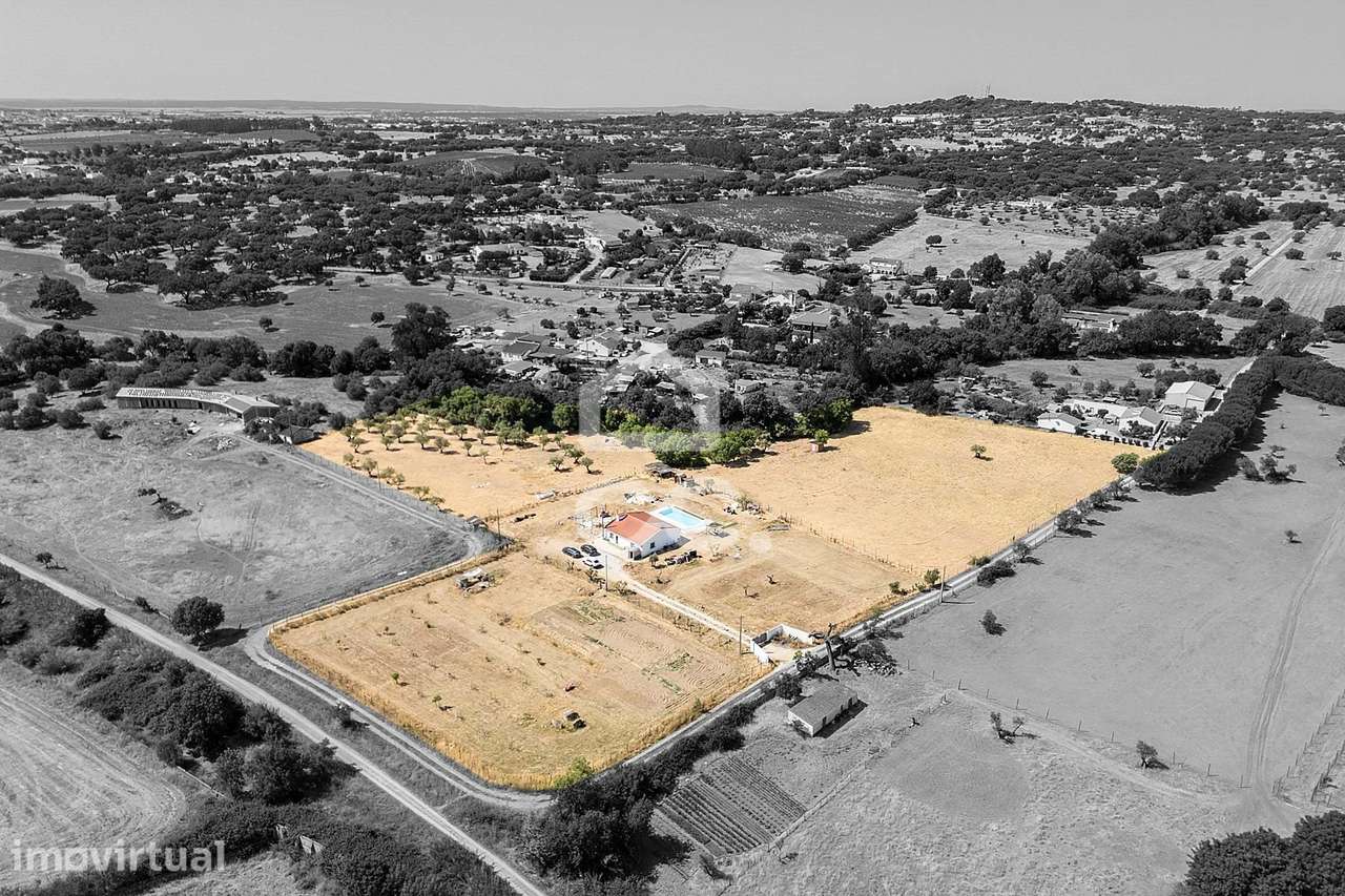 Quinta de 23.000 m² c/ Moradia T3 Renovada,  Piscina e Olival | Bacelo - Grande imagem: 2/60