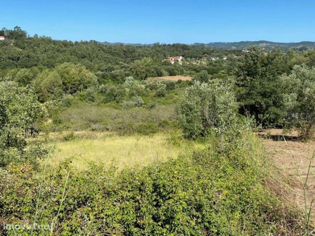 Terreno - Grande imagem: 2/6