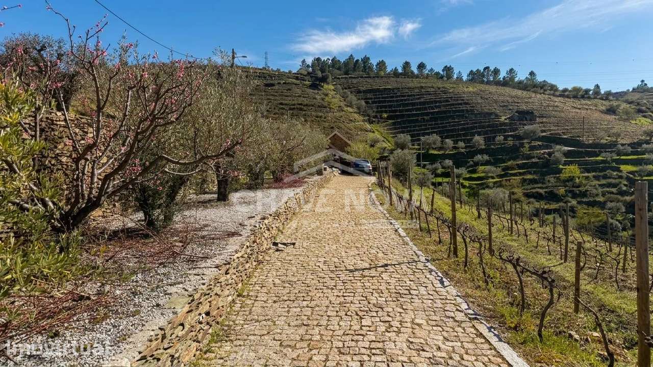 UMA QUINTA PARA VIVER O DOURO - Grande imagem: 2/16