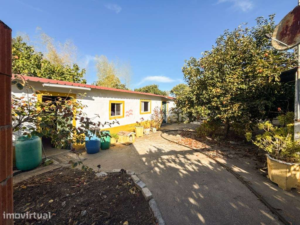 Moradia T3 térrea com quintal, anexos e forno a lenha - Grande imagem: 4/55