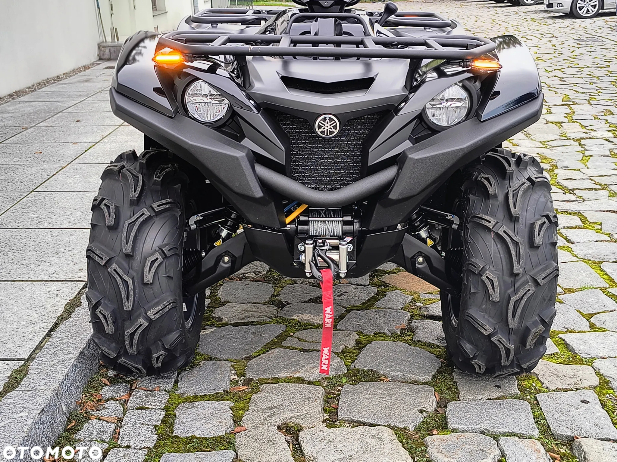 Yamaha Grizzly - 3