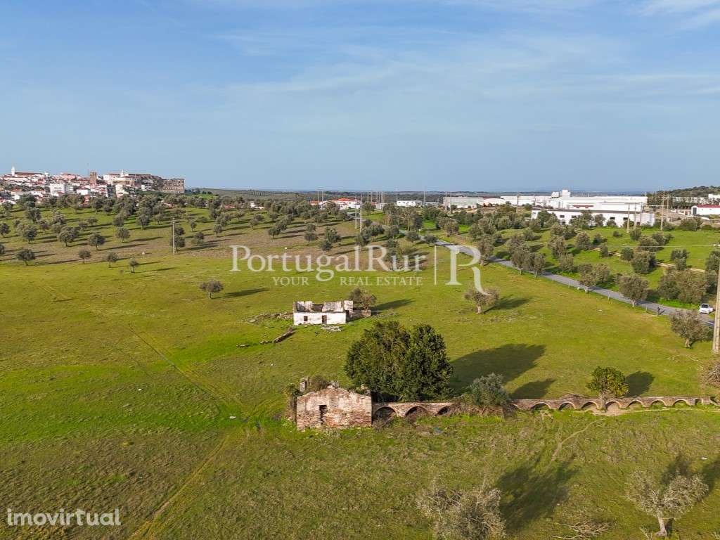 Quinta de 22 hectares em Avis, Portalegre - Grande imagem: 2/35