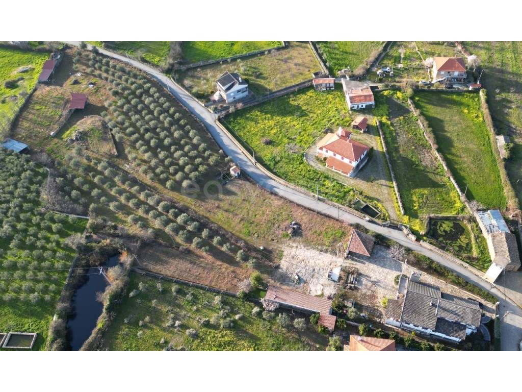 Moradia V6 à venda em Felgar, Torre de Moncorvo - Espaço, conforto ... - Grande imagem: 2/12