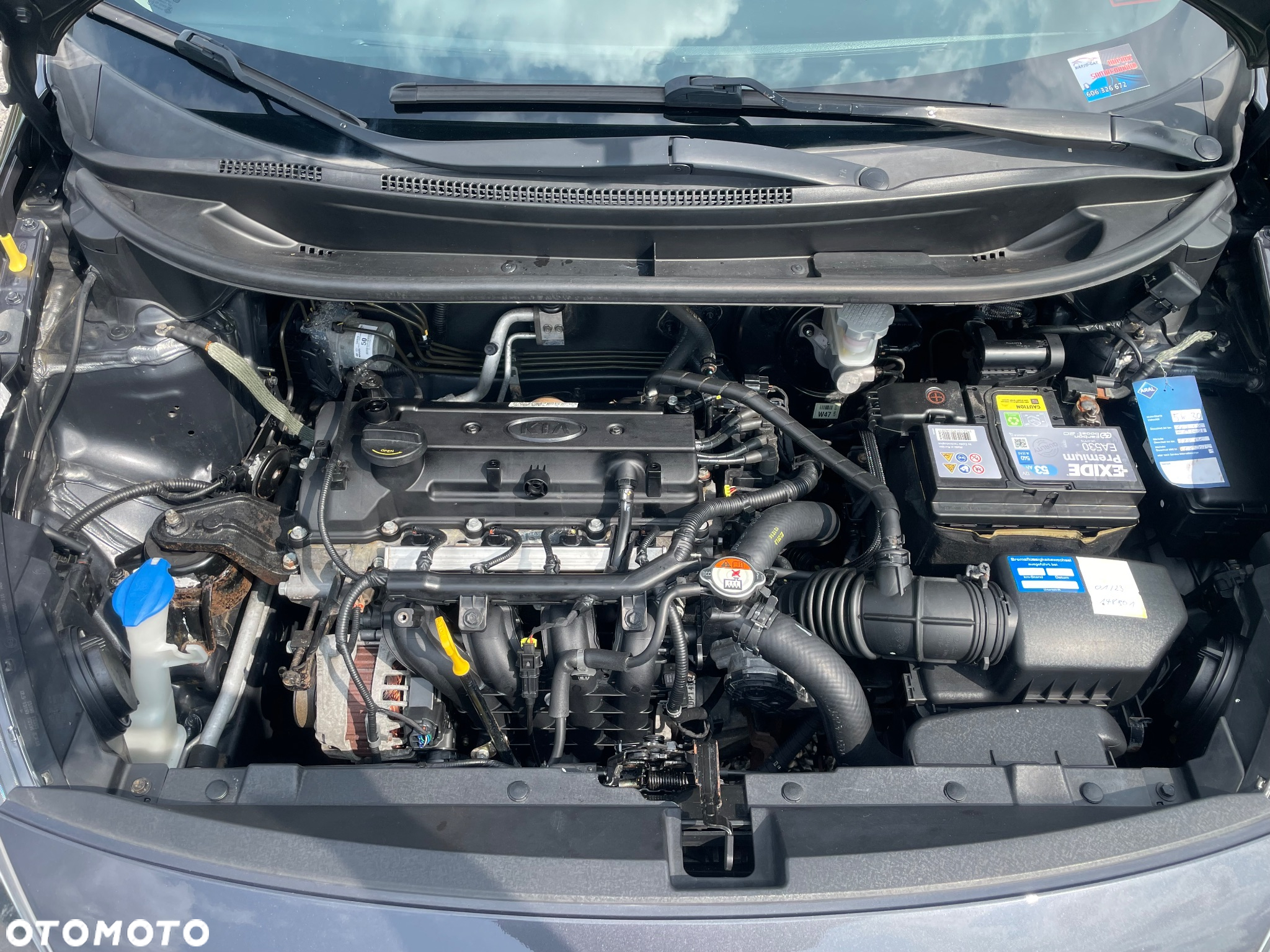 Kia Rio 1.2 Fifa World Cup Edition - 21