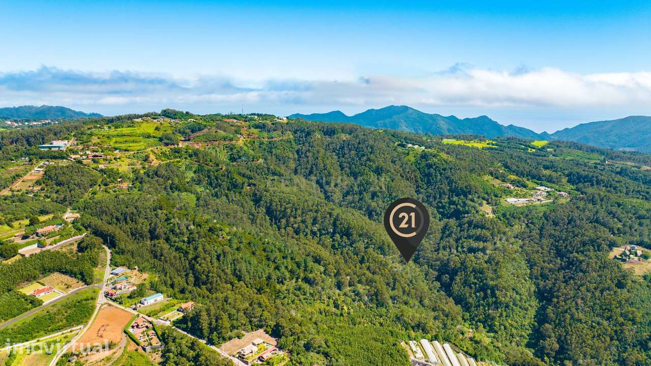 Terreno Rústico Floresta Mista com 6.600 m2 - Morena, Santa Cruz, Made - Grande imagem: 4/13