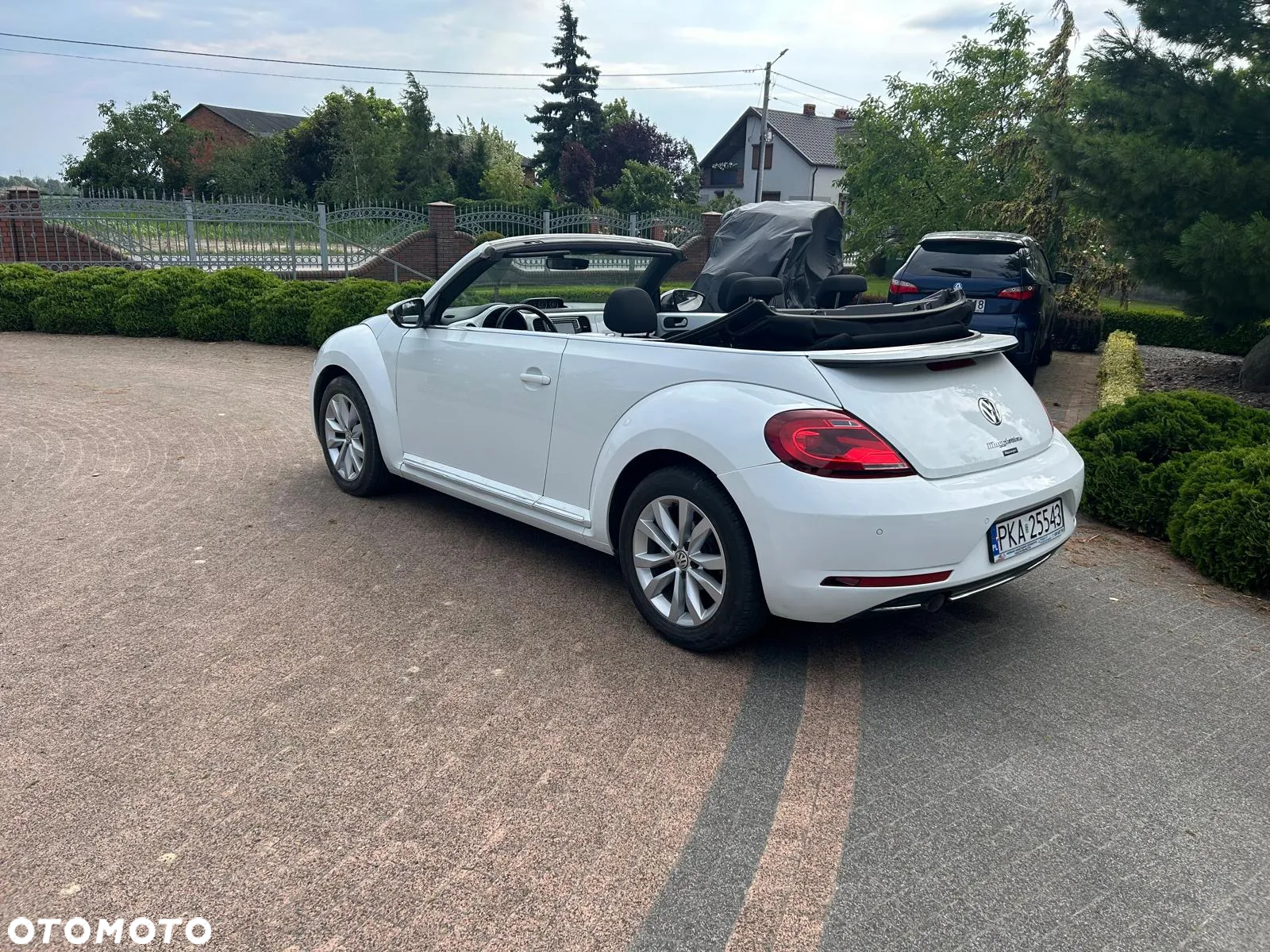 Volkswagen Beetle - 14