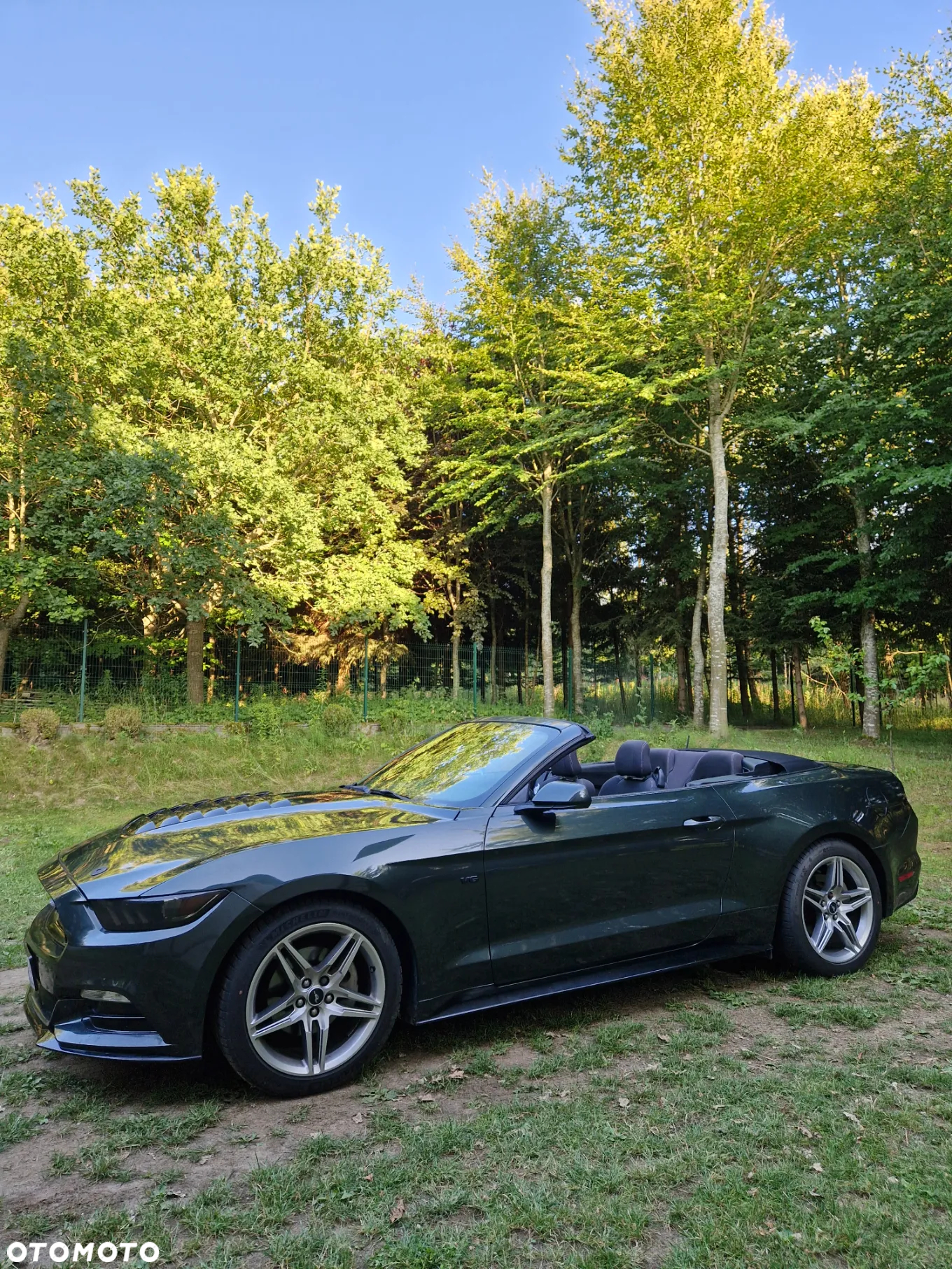 Ford Mustang 3.7 V6 - 10