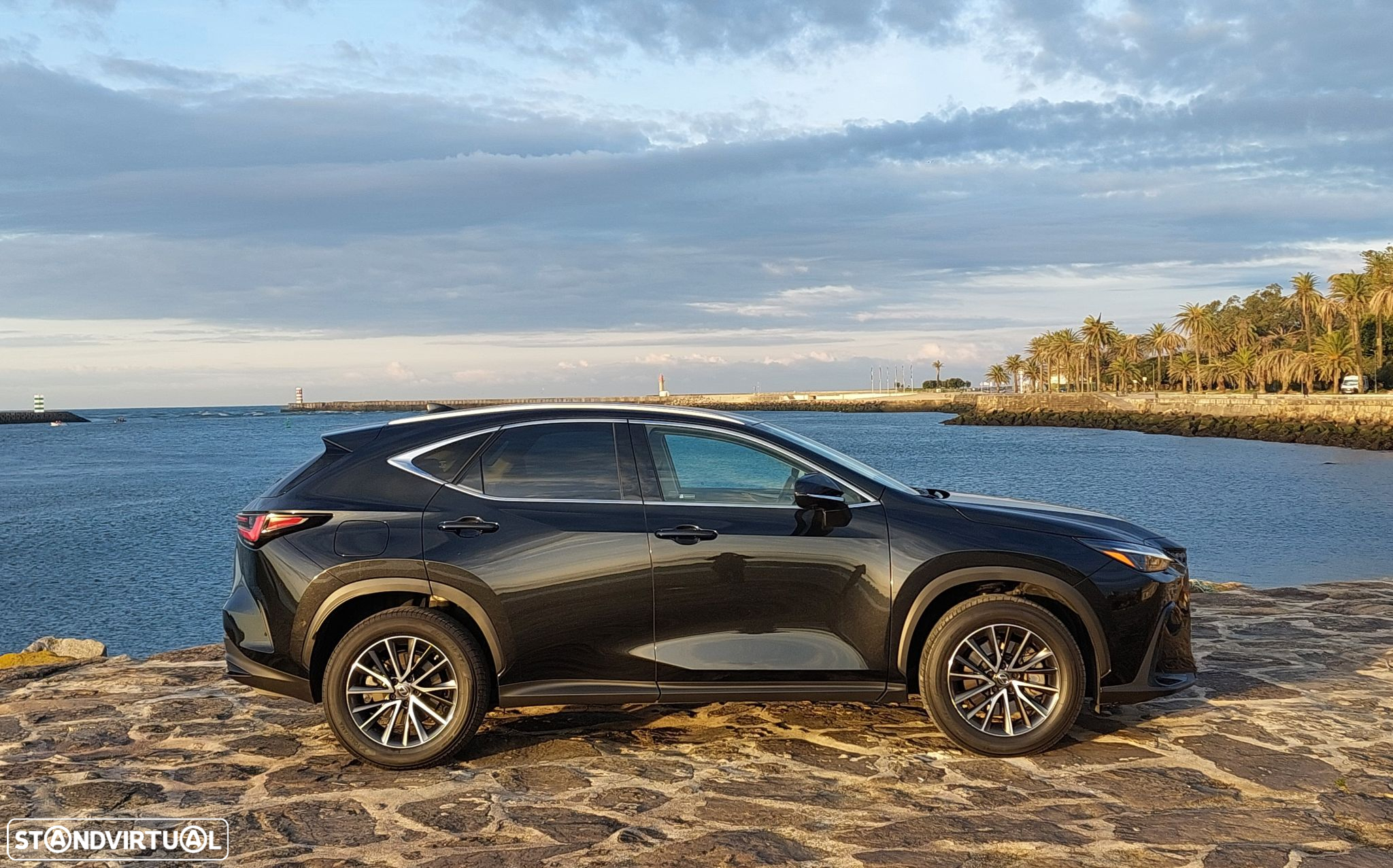 Lexus NX 450h+ - 6