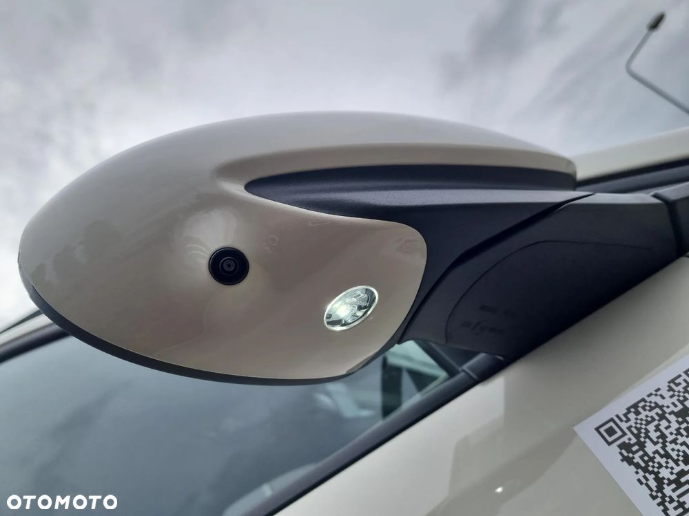 BYD Dolphin Surf - 20