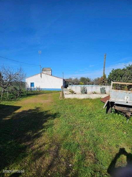 Quinta de 20 hectares em Campo Maior com Olival - Grande imagem: 3/12