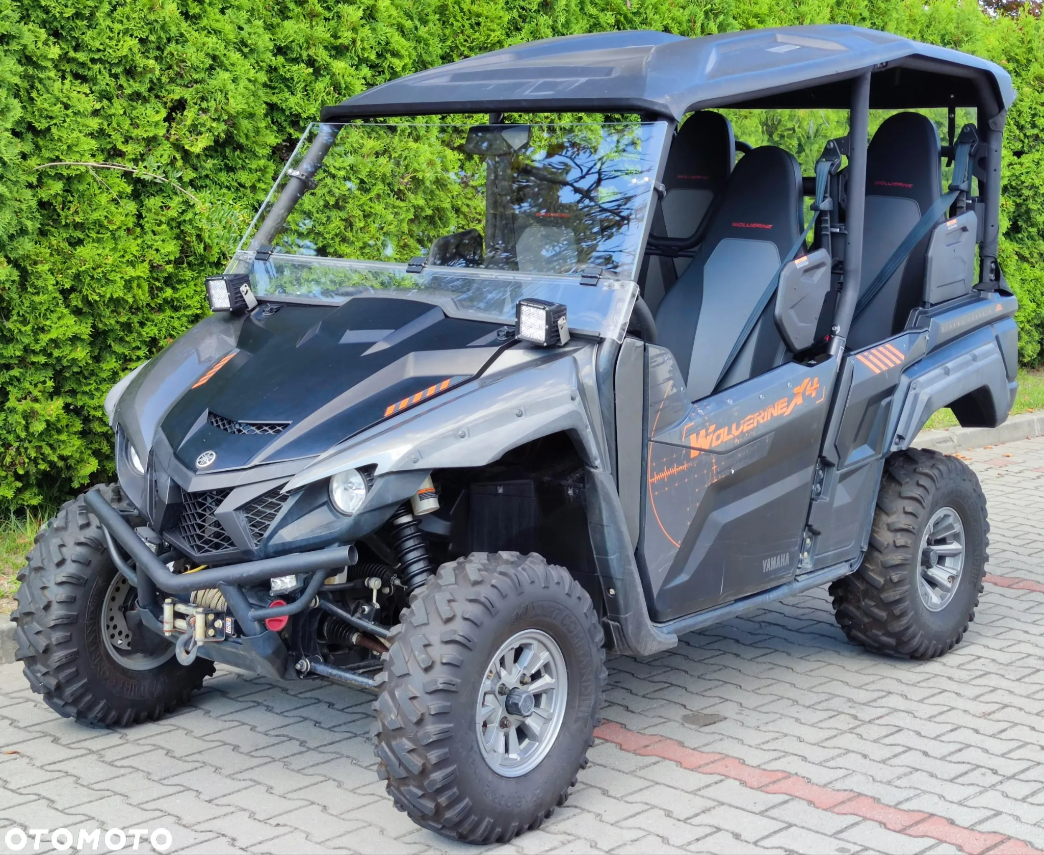 Yamaha Wolverine - 19