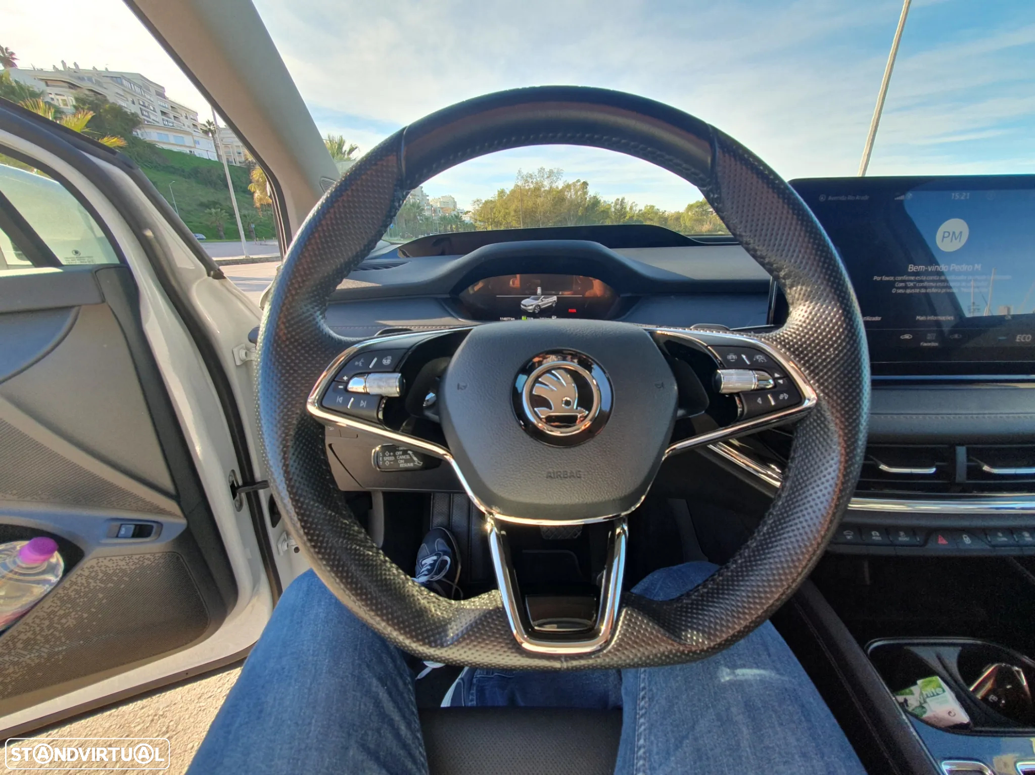 Skoda Enyaq iV 80 - 17