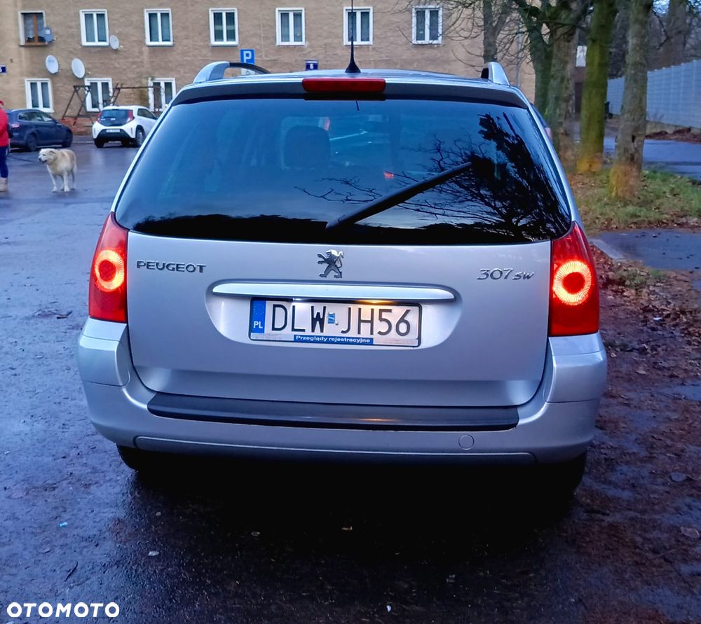 Peugeot 307 1.6 Premium - 3
