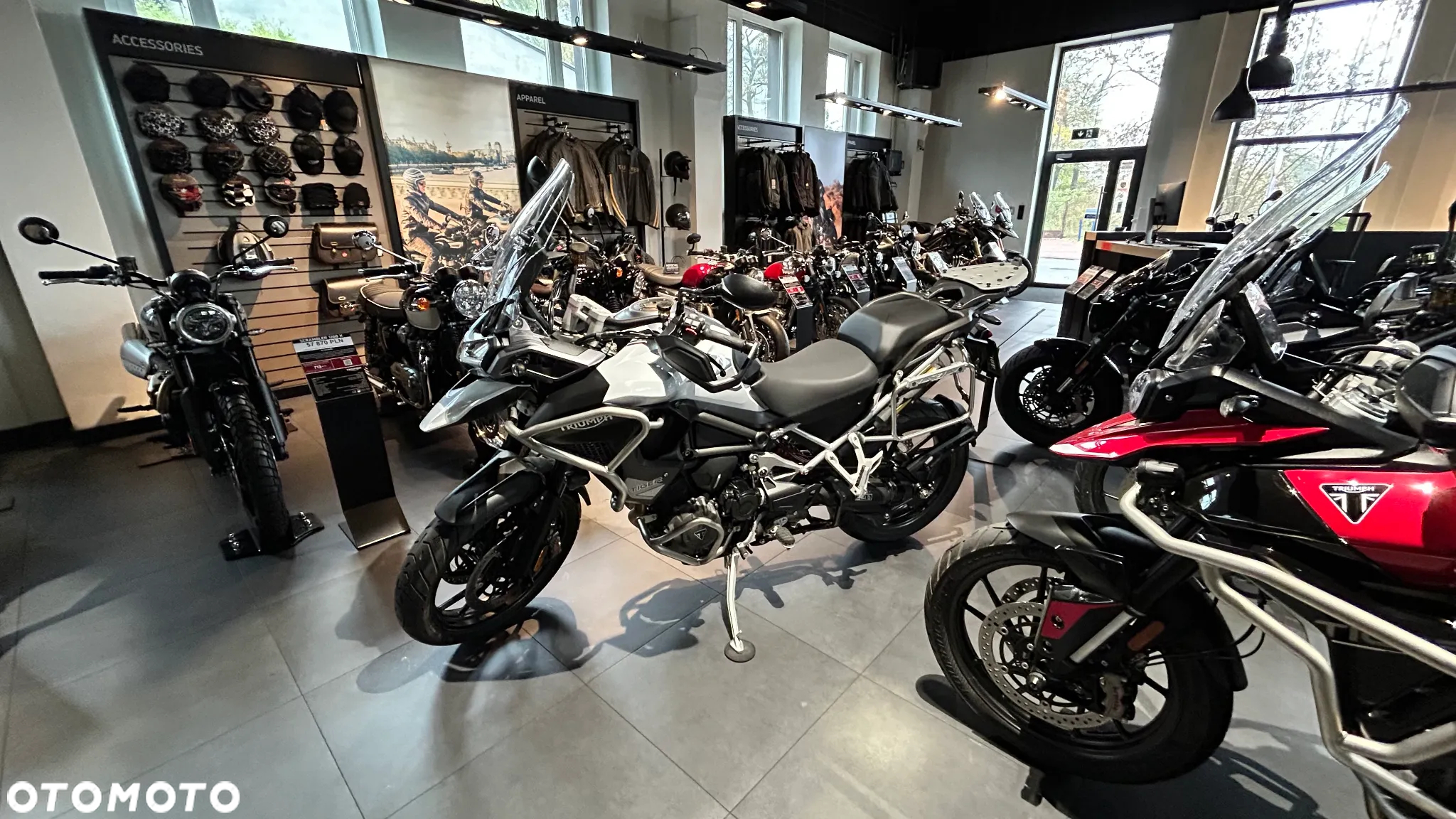 Triumph Tiger - 8