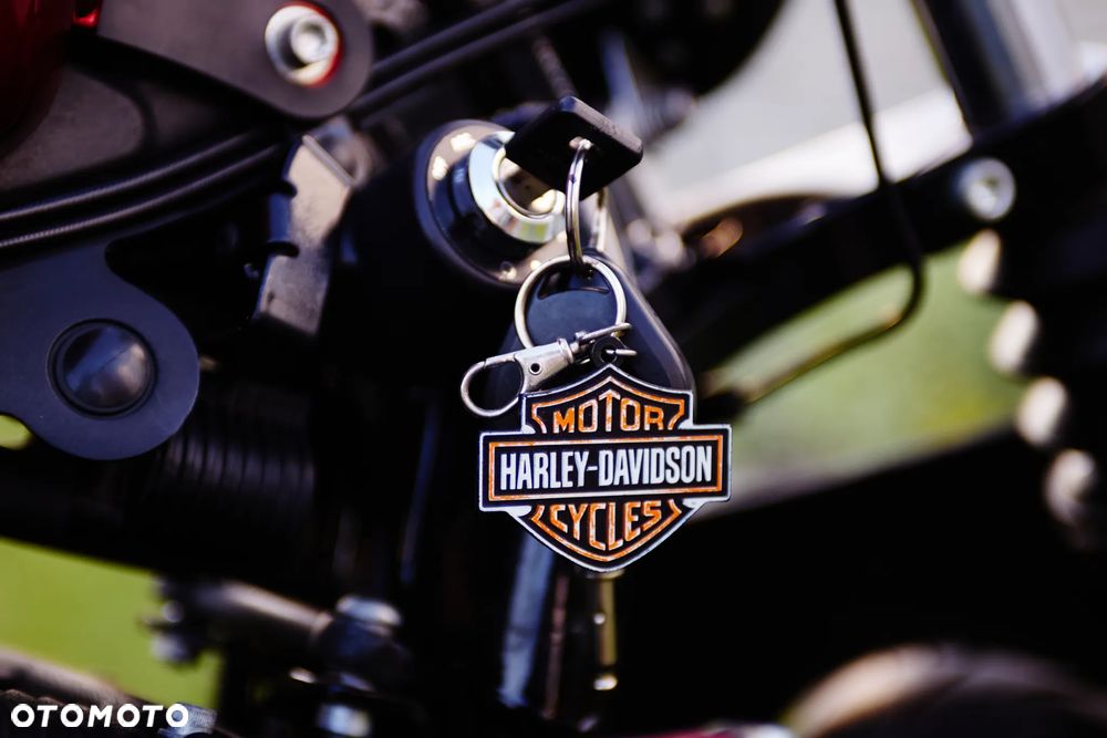 Harley-Davidson Sportster Iron 883 - 12