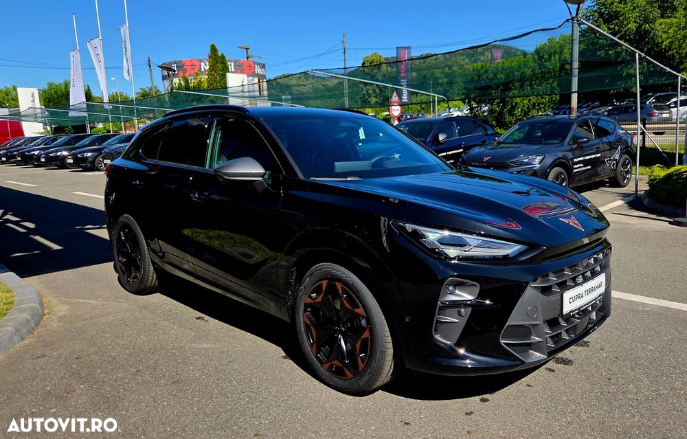 Cupra Terramar - 6